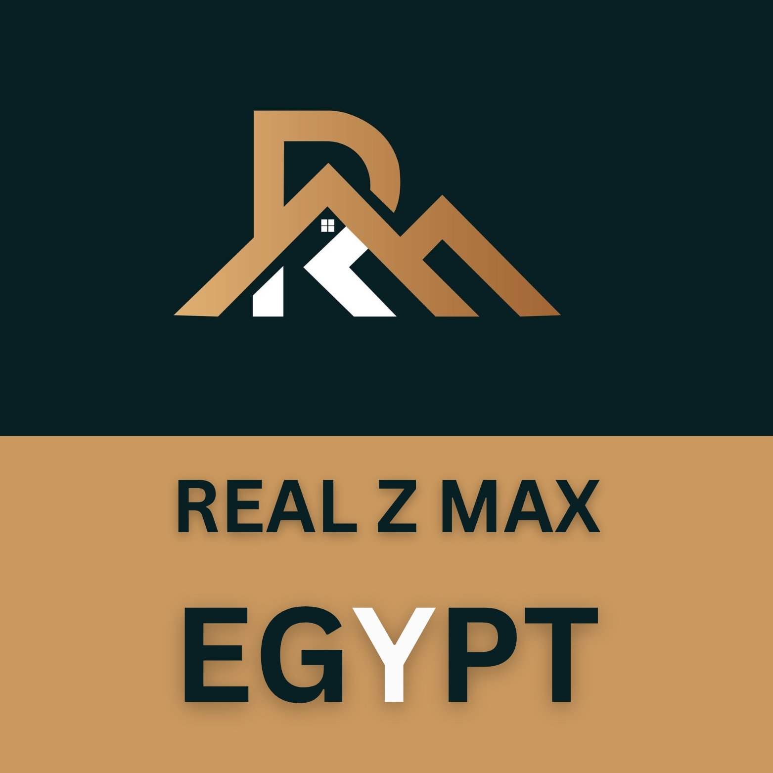 REALZ MAX LLC